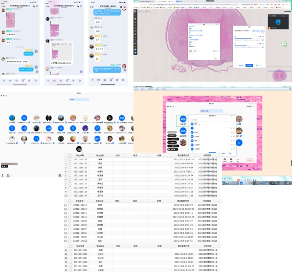说明: C:\Users\dell\Desktop\线上实验辅导2021.9-11\线上辅导拼图.jpg